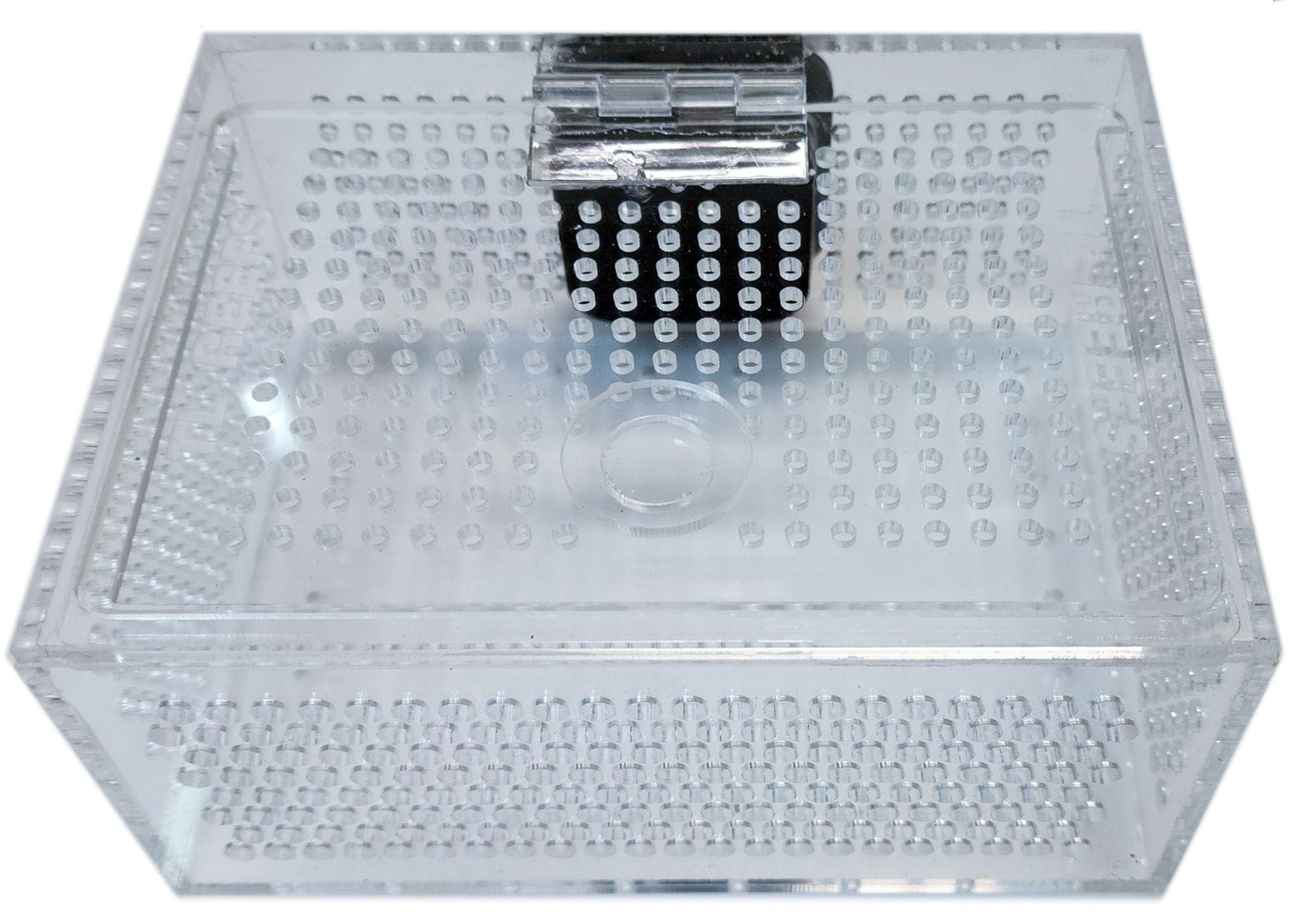 acclimation fish box Red Starfish Quarantine Container Whitlyn Aquatics allowing the box to attach securely to the side of your aquarium Magnet Acclimation Box for Saltwater