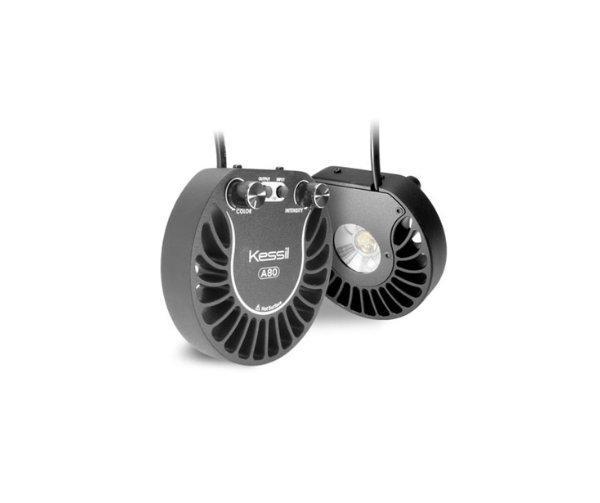 Saltwater | Aquatic Marine