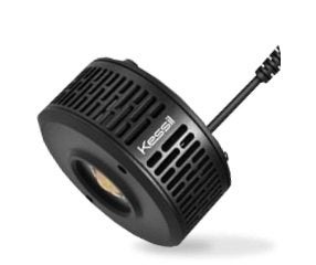 Saltwater | Aquatic Marine